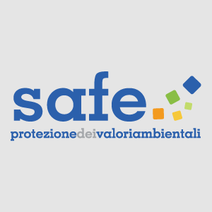Gruppo Safe - Web agency Milano