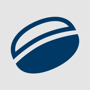 Guandong - Web Agency Milano
