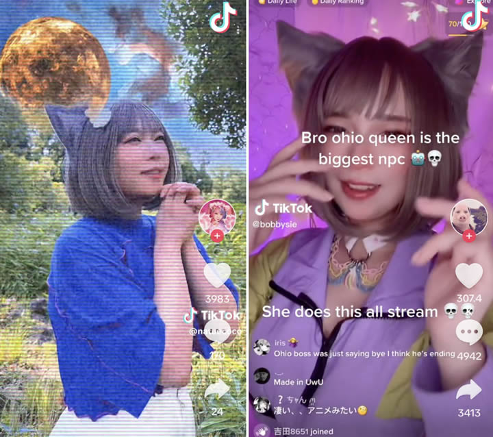 Syroop Fluid Thinkers - Video NPC TikTok Natecuoco