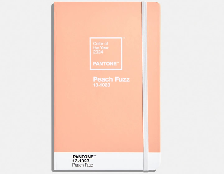 Syroop Fluidthinkers - Color of the year 2024 peachfuzz journal