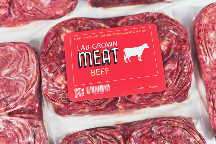 Syroop Fluidthinkers - Carne sintetica